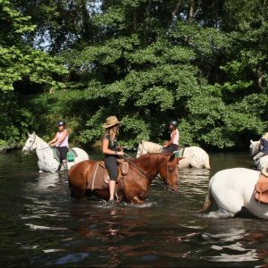 Promenade à cheval