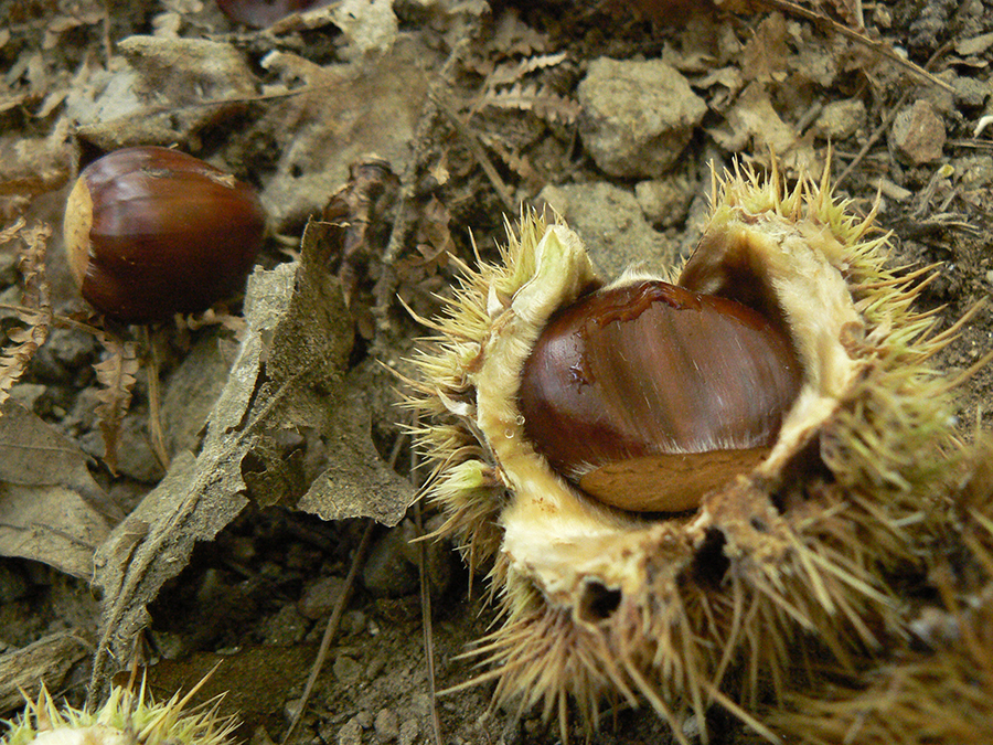 P1020878
